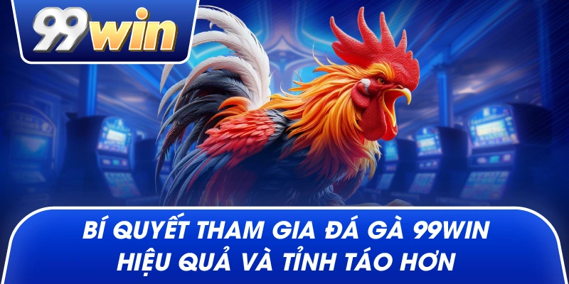 Bí quyết tham gia Đá Gà 99win hiệu quả và tỉnh táo hơn